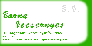 barna vecsernyes business card